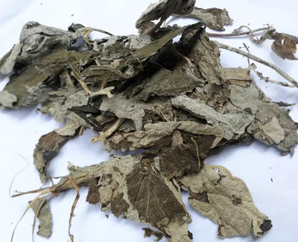 Dried Herbs Folium Calicarpae 500g Zi Zhu