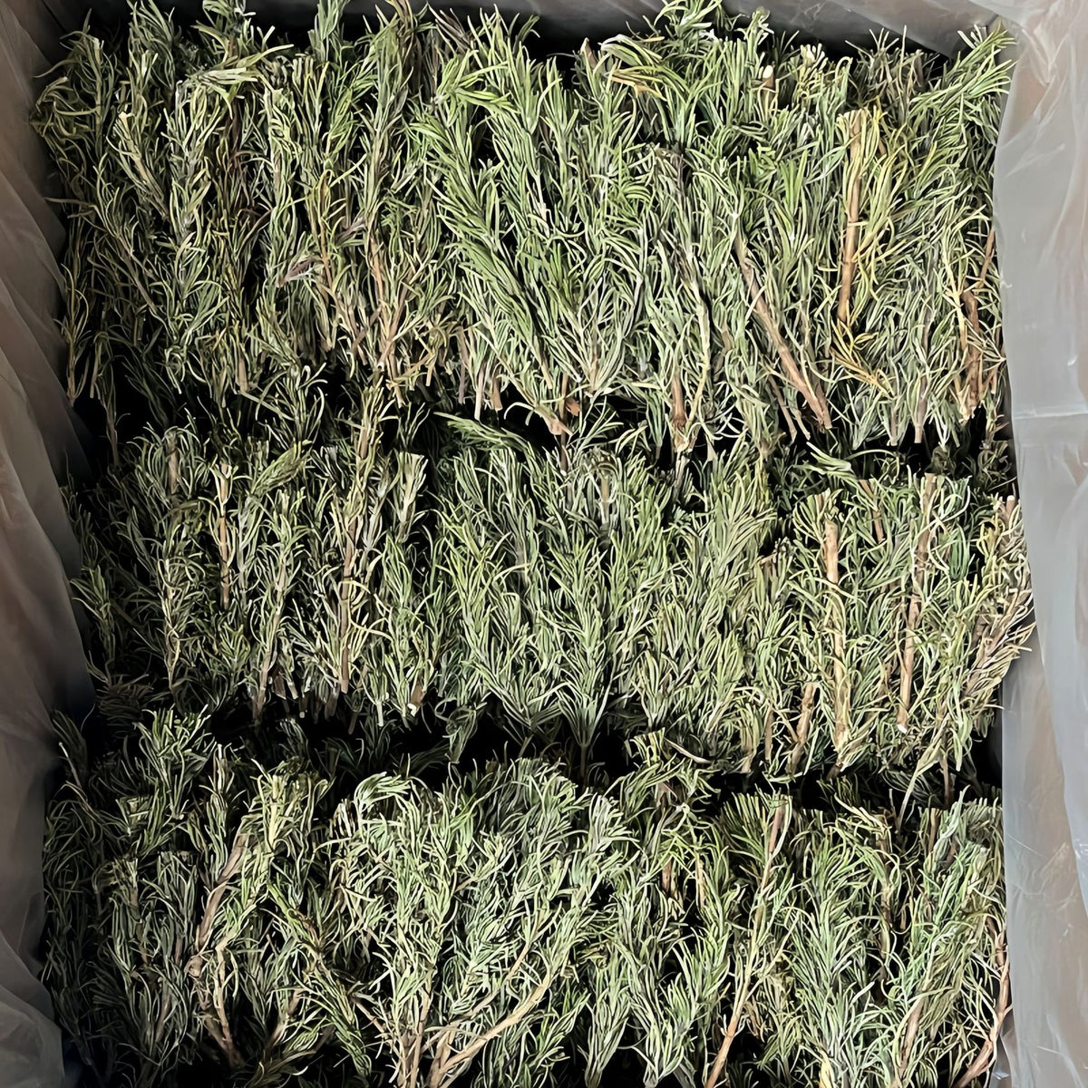Dried Rosemary Sprigs