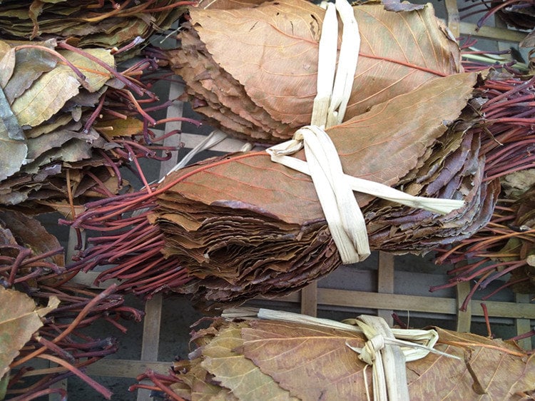 Hawthorn Leaves Loose Herbal Tea Shan Zha Ye Grataegus pinnati fida Bge. Leaves