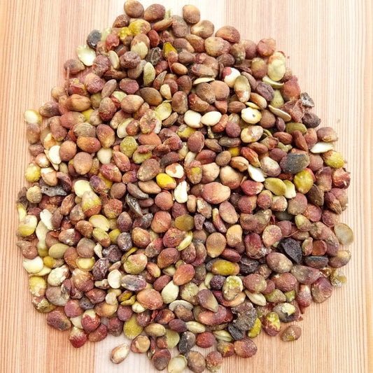 1.1LB Dried Herbs Ciausena Lansium Seed, Wampee Seed, Huang Pi He