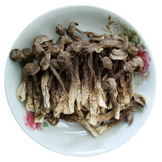 500g Dried Lyophyllum Decastes, Velvet Antler Mushroom, Lu Rong Gu