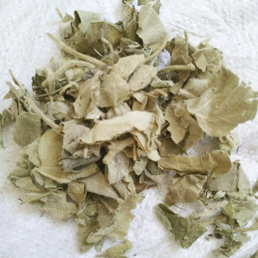 1.1 LB Dried Herbs Aristolochia mollissima Hance Leaves, Xun Gu Feng Ye