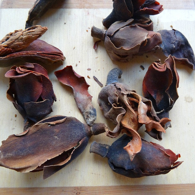 1.1LB High Quality Magnolia Bark Flower Tea Cortex Magnoliae Officinalis Hou Pu Flower Tea