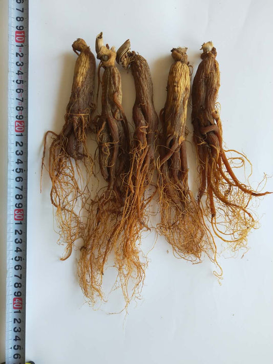 Top Quality 250g Red Ginseng Root 10 Years Dry Ginseng Root 250g for 6~7 pieces