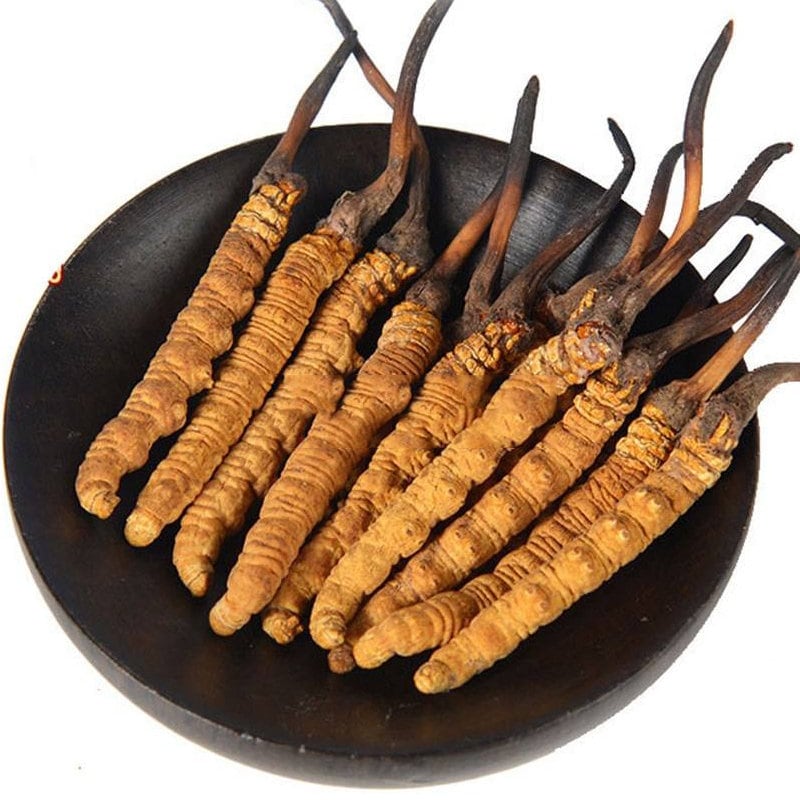 1g For 3PCS Cordyceps sinensis whole dried mushrooms (Yartsa Gunbu, caterpillar fungus), Dong Chong Xia Cao