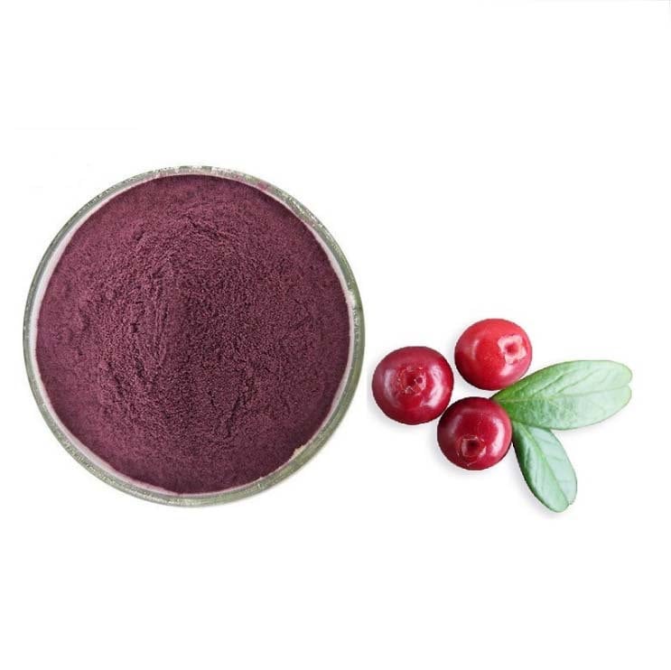 1.1LB Organic Bilberry Powder For Eye & Vision Health Anti-oxidant