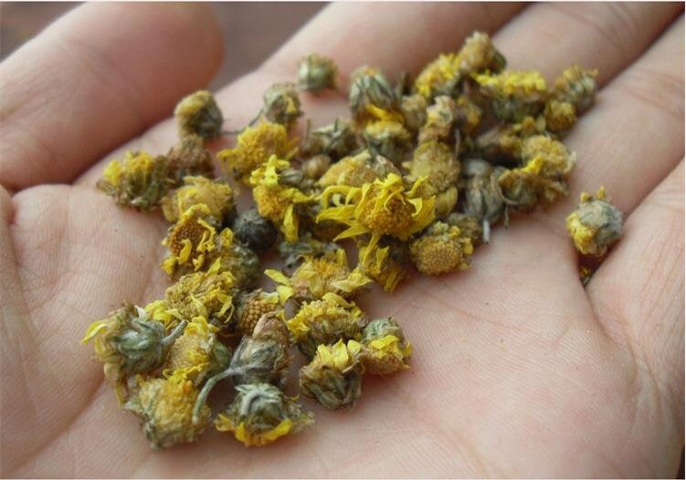 100g Chrysanthemum | Wild Harvest | Wild Chrysanthemum | Ju Hua