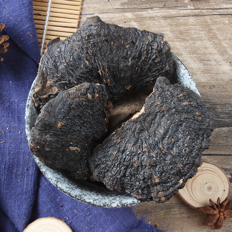 500g Wild Ganoderma Capense, G.capense, Gcapense Lingzhi Herbal Reishi Mushroom Herbs,Bo Shu Lingzhi