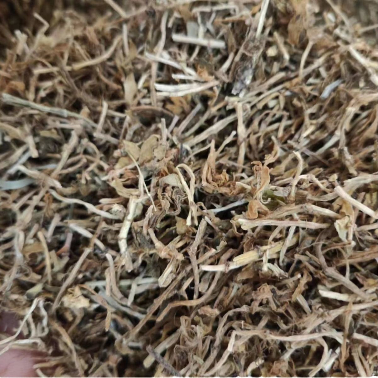 500g Dried Sedum Sarmentosum Bunge, Chui Pen Cao