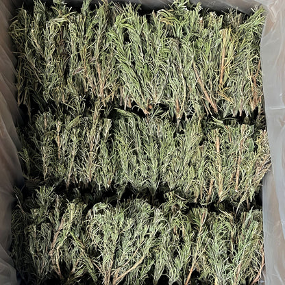 Dried Rosemary Sprigs
