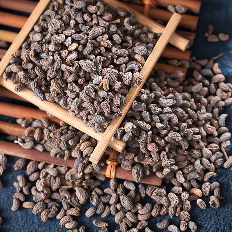 Dried Herbs Ligustrum Lucidum Fruit, Nv Zhen Zi