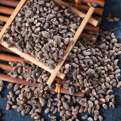 Dried Herbs Ligustrum Lucidum Fruit, Nv Zhen Zi