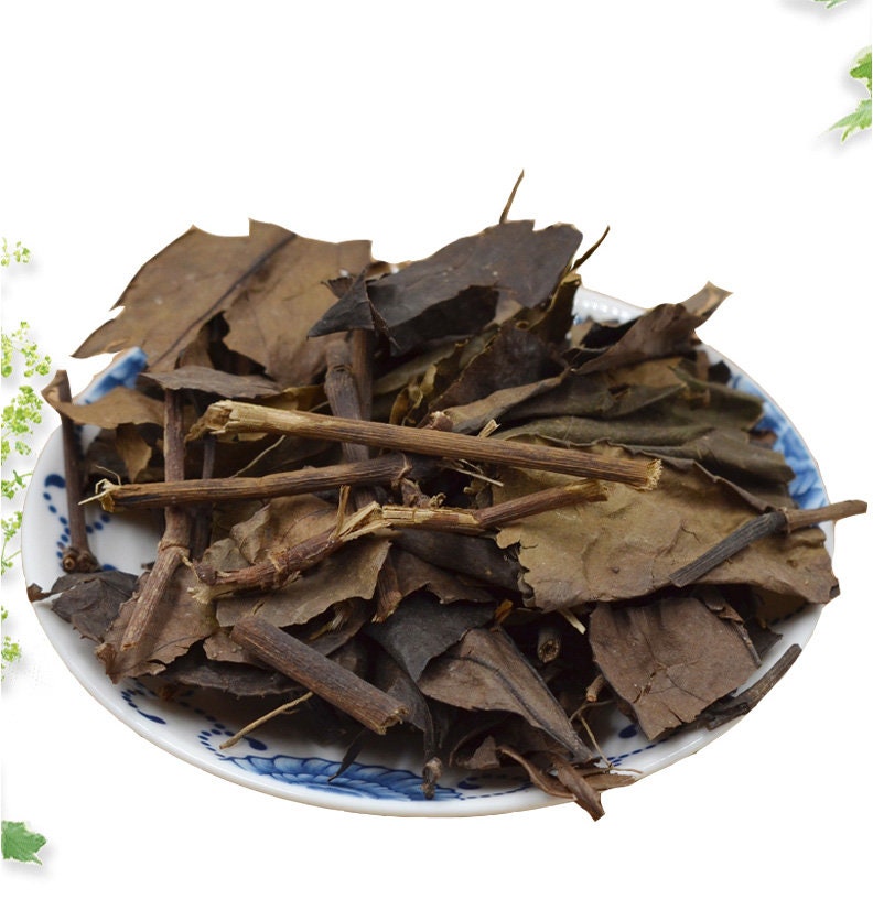 8.8oz Glabrous Sarcandra Herb, Herba Sarcandrae, Dried Herbs Zhong Jie Feng