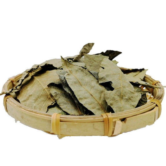 500g Dried Herbs Cyclocarya Paliurus Iljinskaja, Cyclocarya, Qing Qian Liu