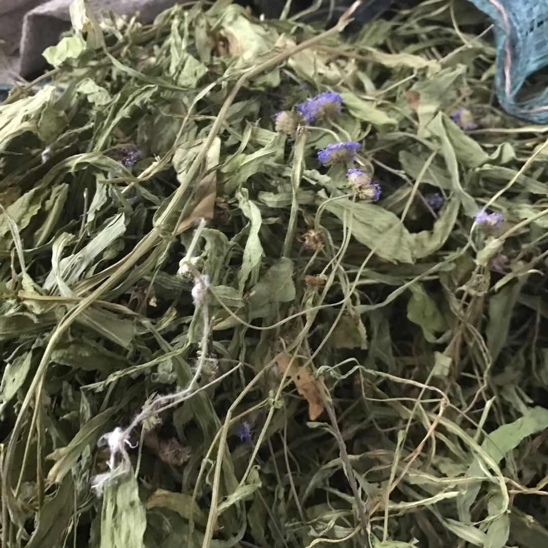 500g Dried Erigeron Breviscapus, Herba Erigerontis, Flower Tea Deng Zhan Hua