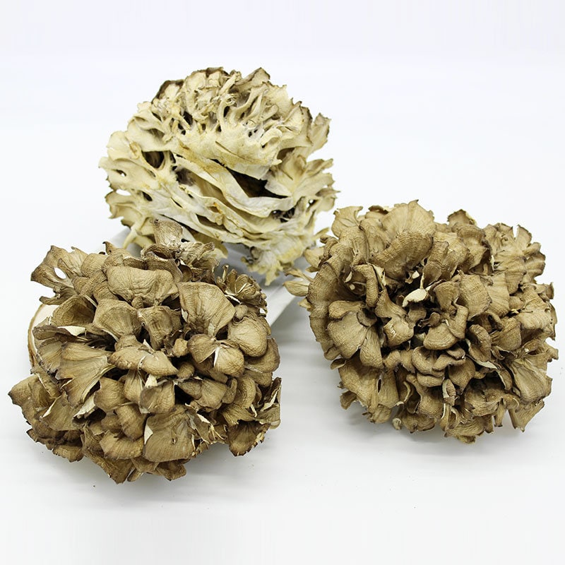 500g Dried Maitake Mushroom, Hui Shu Hua