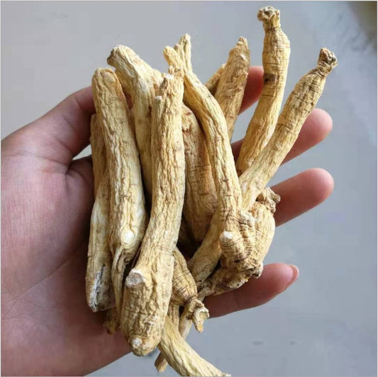 Dried Ginseng Root 100g (About 22 Roots) White Ginseng Roots