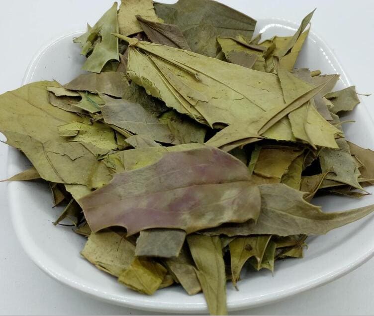 250g Dried Herbs Chinese Holly Leaf, Gong Lao Ye