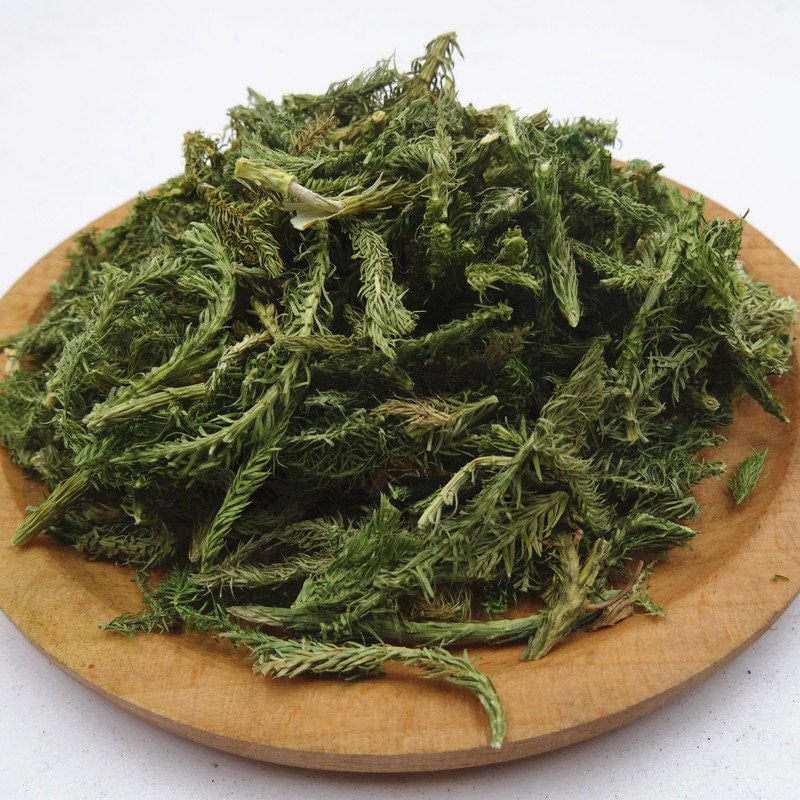 250 GR Shen Jin Cao Common Clubmoss Herb