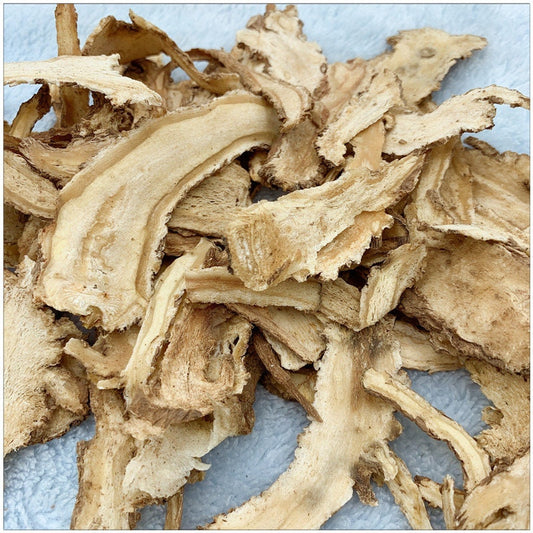 200g-500g Angelica Root Angelica Archangelica Dried Bulk Herbs Dong Quai Dang Gui