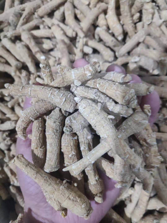 100g High Quality AMERICAN GINSENG ROOTS (About 23 Roots)