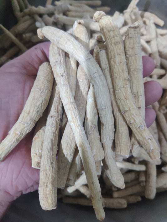 Dried Ginseng Root 100g (About 17 Roots) White Ginseng Roots