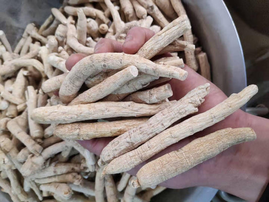 Dried Ginseng Root 100g (About 11 Roots) White Ginseng Roots