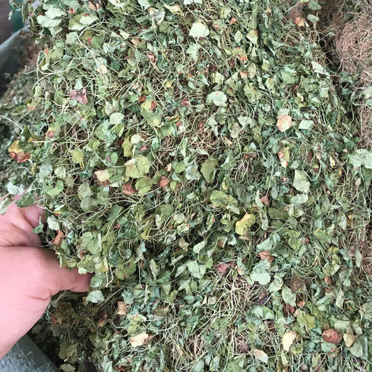 500g 100% Natural Gotu Kola, Centella asiatica, Dried Loose Herb Tea