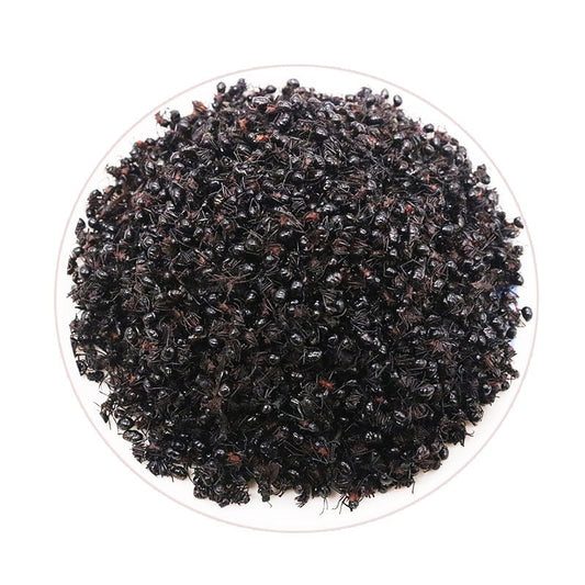 500g 100% Pure High Quality Wild Black Ants, Hei Ma Yi, Black Ants, Ants