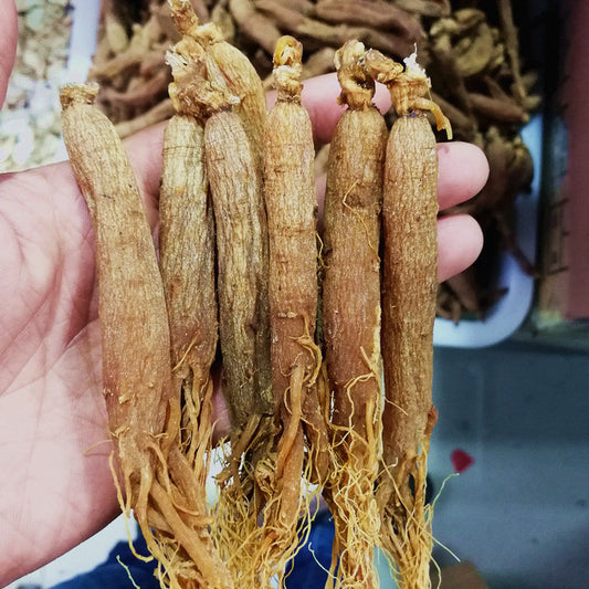 High Quality 250g for 20pcs Root Panax Red Ginseng Whole Root, 6 Years Red Panax Roots