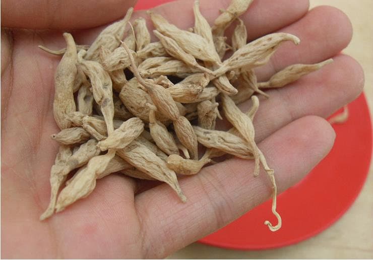 250 GR (8.8 OZ) Organic Wild High Quality Ophiopogon Mai Dong , Ophiopogonis Radix