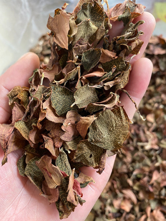 50g Dried Anoectochilus Roxburghii Leaves, Anoectochilus formosanus, Jin Xian Lian, Tea