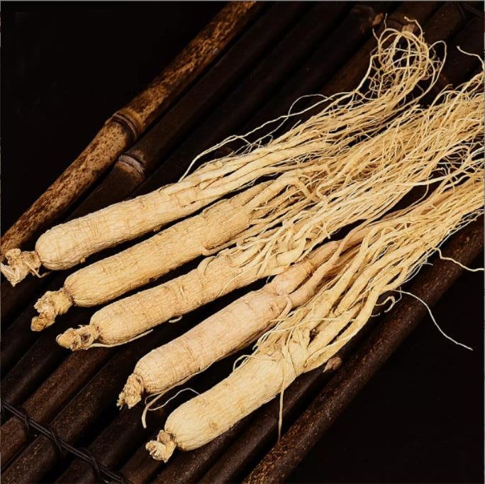 250g for 15pcs Root Panax White Ginseng Whole Root, 6 Years White  Panax Roots