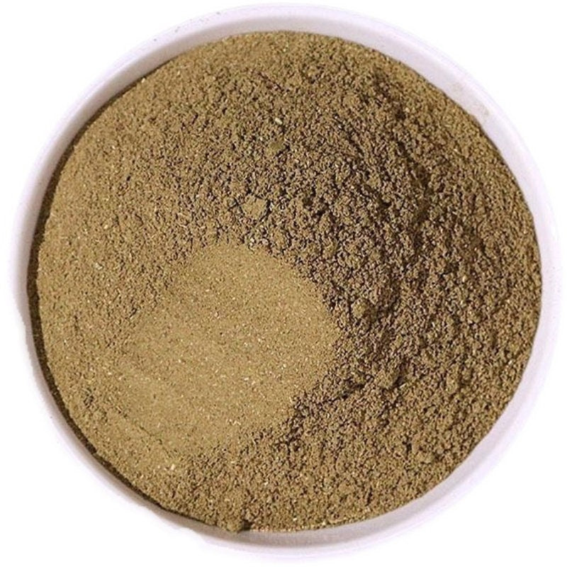 100g 100% Pure Rhizoma Picrorhizae Powder Picrorhiza scrophulariiflora Pennell Hu Huang Lian Powder