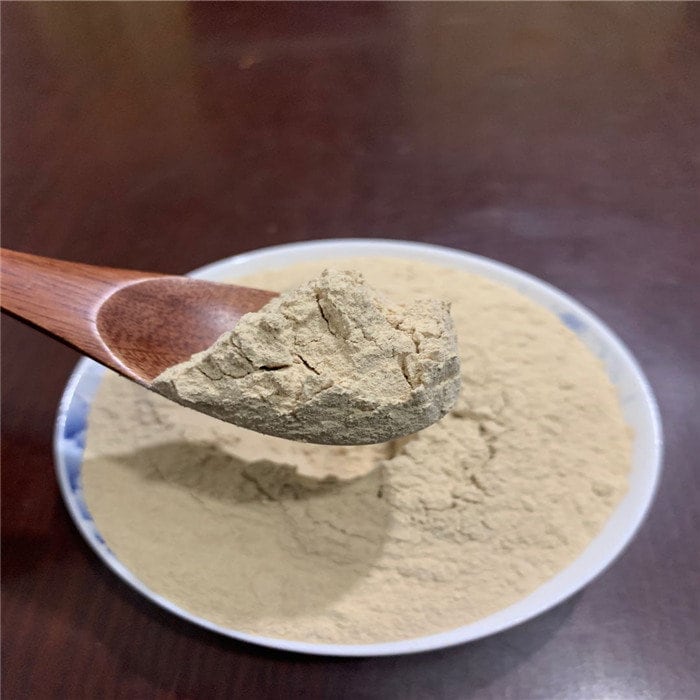 500 GR 100% Pure Rhizoma Sparganii Powder, San Leng Powder