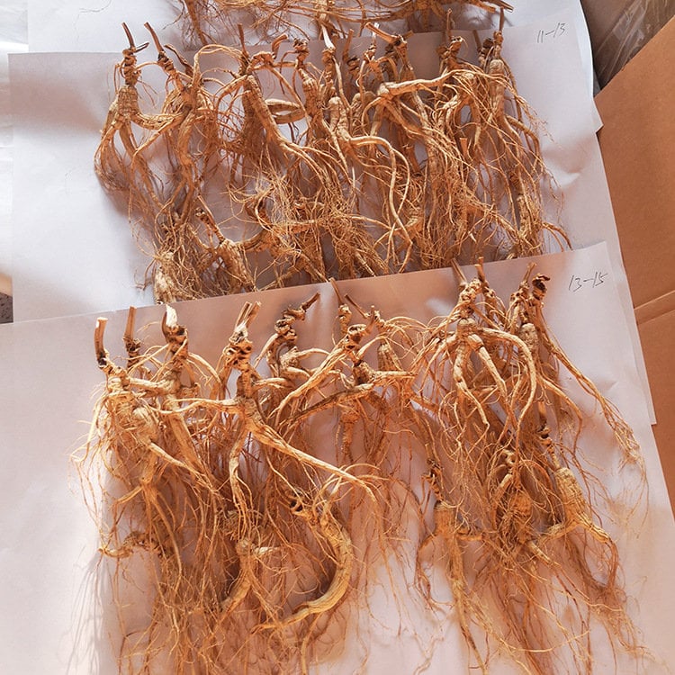 50g Dried whole ginseng roots 15-17 Years ginseng