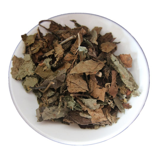 500g Dried Harlequin Glorybower Leaves, Chou Wu Tong, Clerodendrum trichotomum